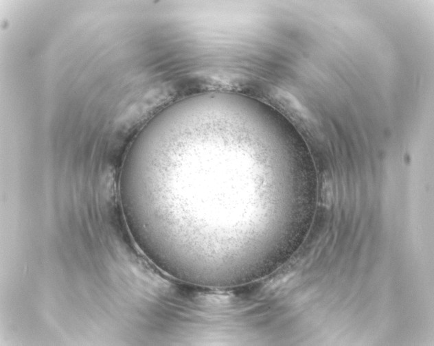 X0000088900318200706221911