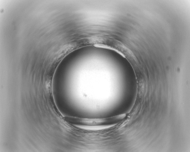 X0000088900329200706221911