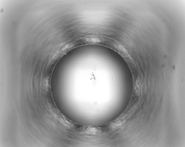 X0000088900330200706221911
