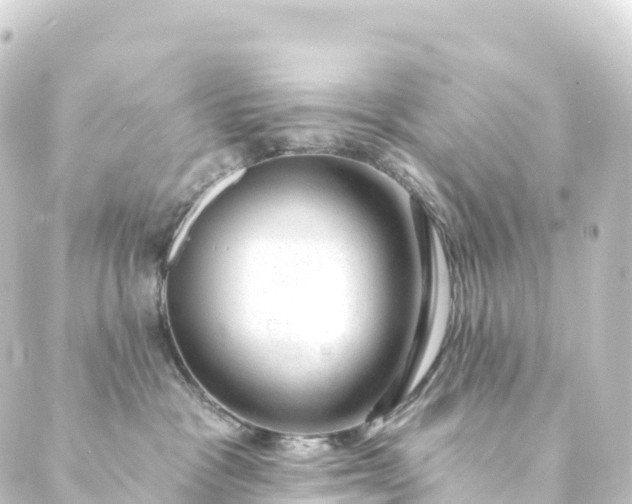 X0000088900333200706221911