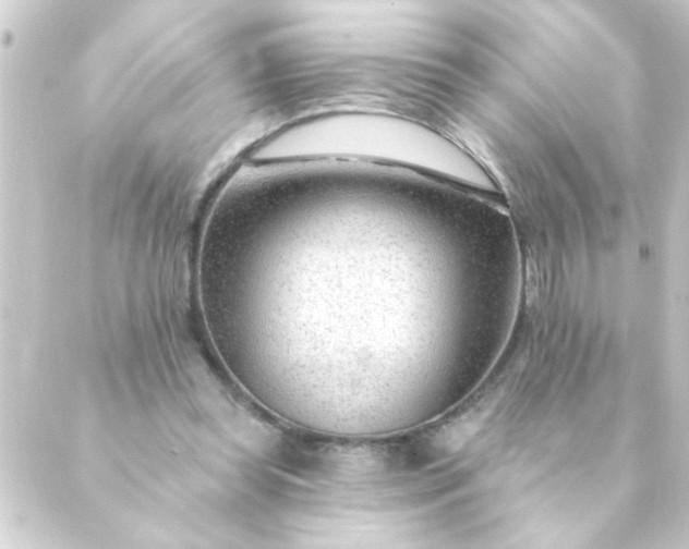 X0000088900349200706221910