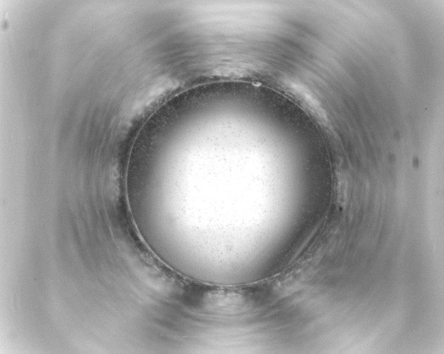 X0000088900354200706221910