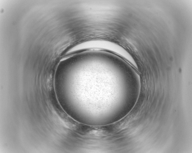 X0000088900364200706221910