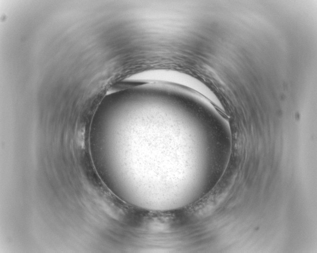 X0000088900368200706221910