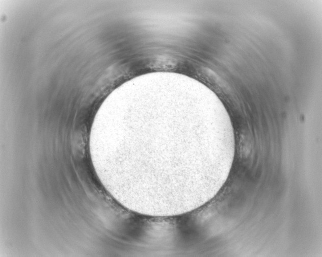 X0000088900370200706221910