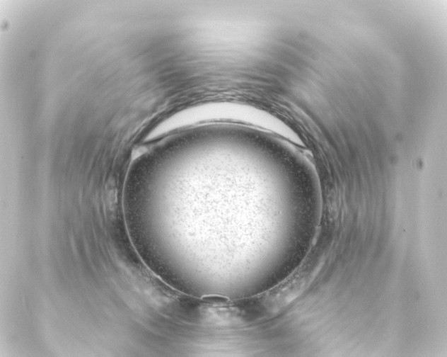 X0000088900372200706221910