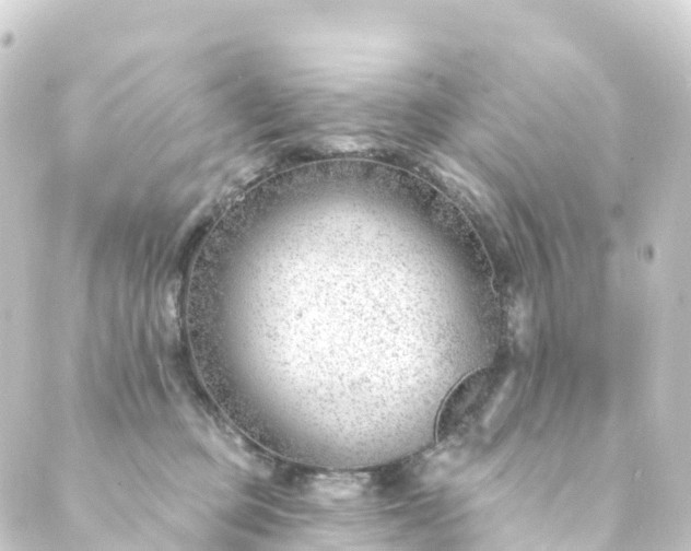 X0000088900373200706221910