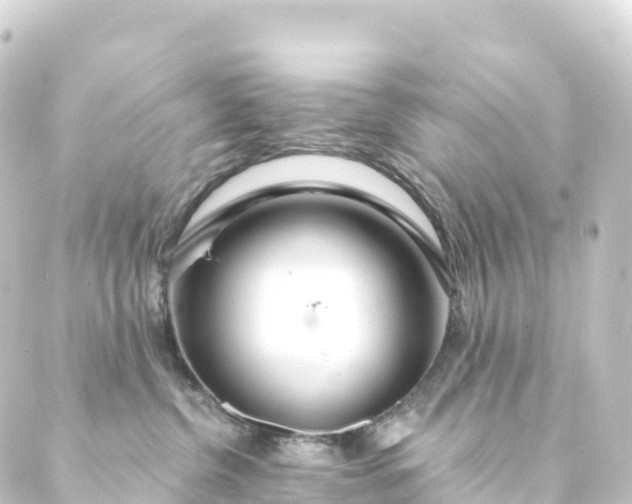 X0000088900380200706221911