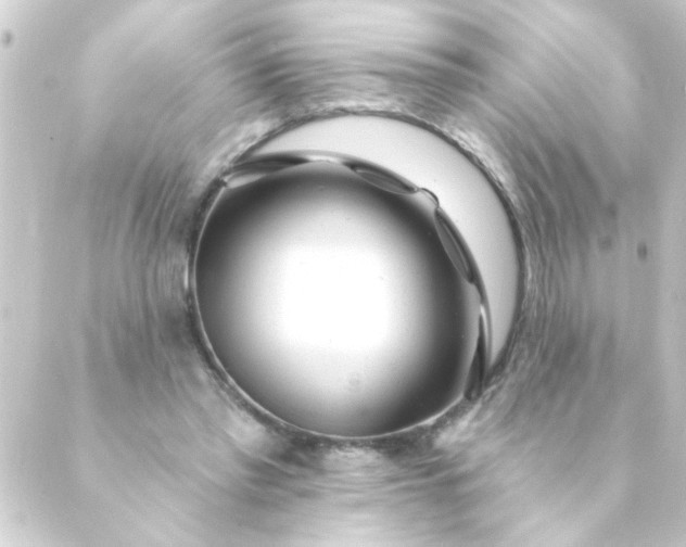 X0000088900397200706221910