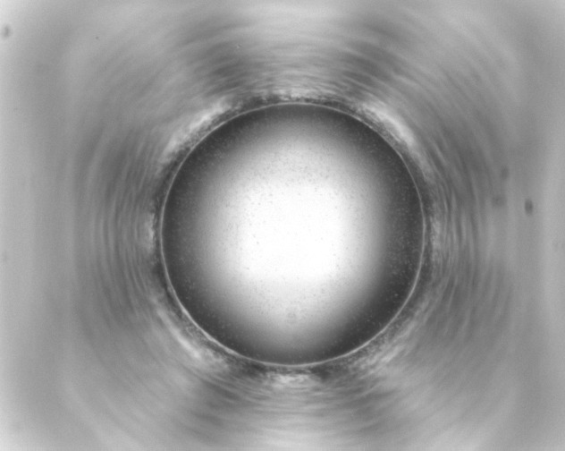 X0000088900401200706221910