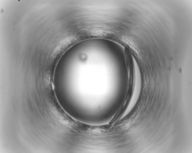X0000088900407200706221909