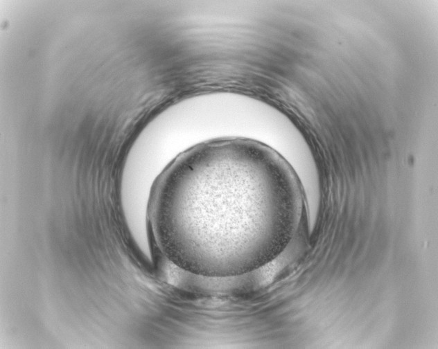 X0000088900412200706221909