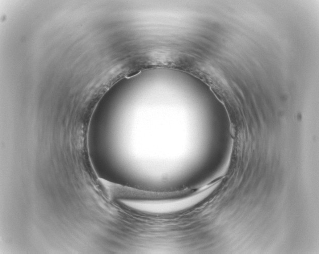 X0000088900413200706221909