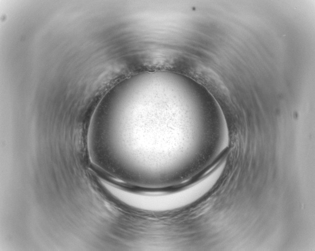 X0000088900416200706221909