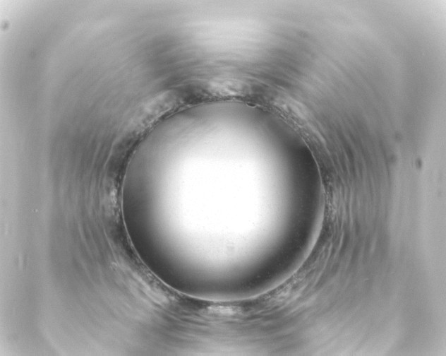 X0000088900418200706221909