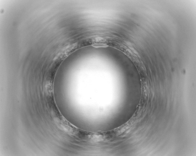 X0000088900419200706221909