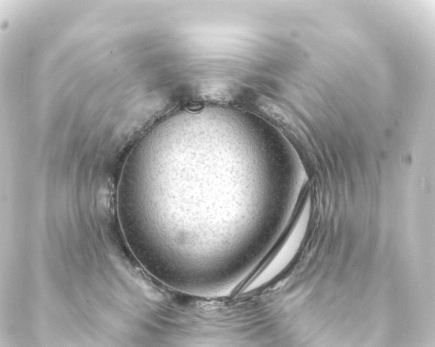 X0000088900424200706221909
