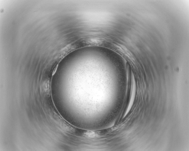 X0000088900425200706221909