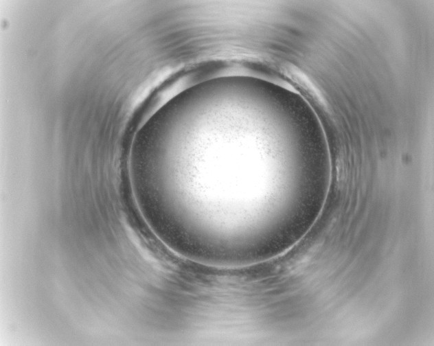 X0000088900436200706221908