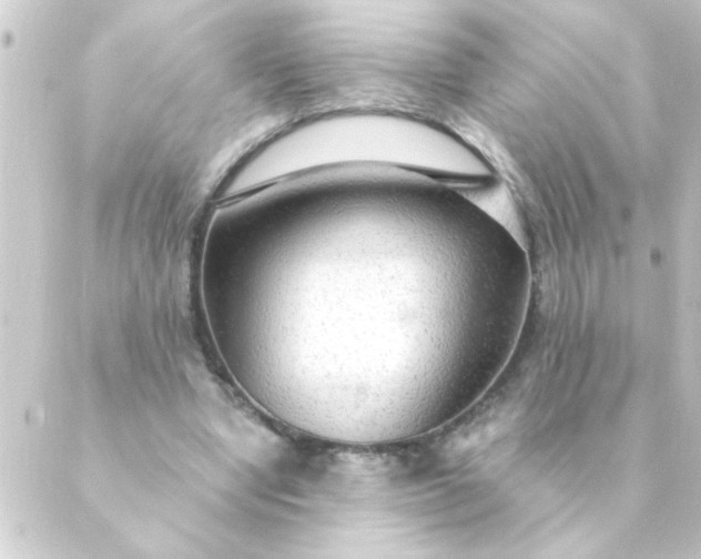 X0000088900442200706221908