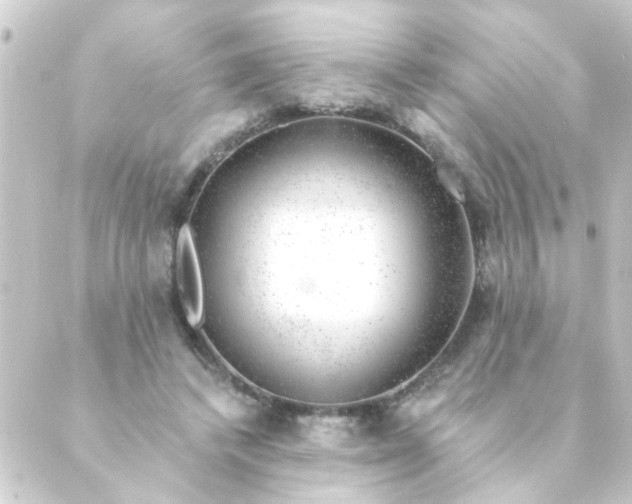 X0000088900448200706221909