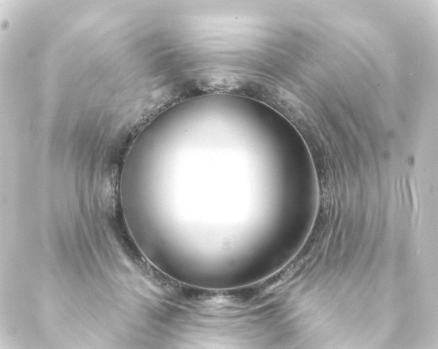 X0000088900460200706221909