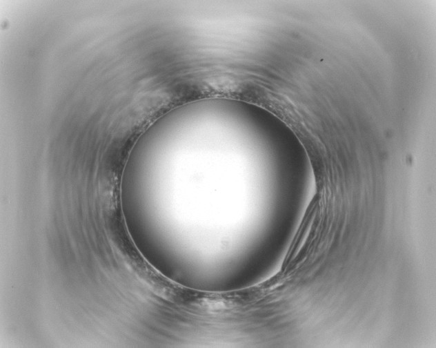 X0000088900464200706221909