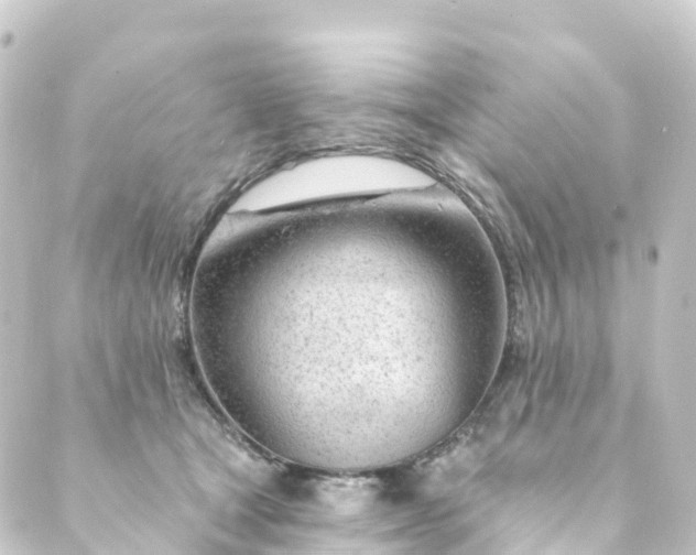 X0000088900465200706221909