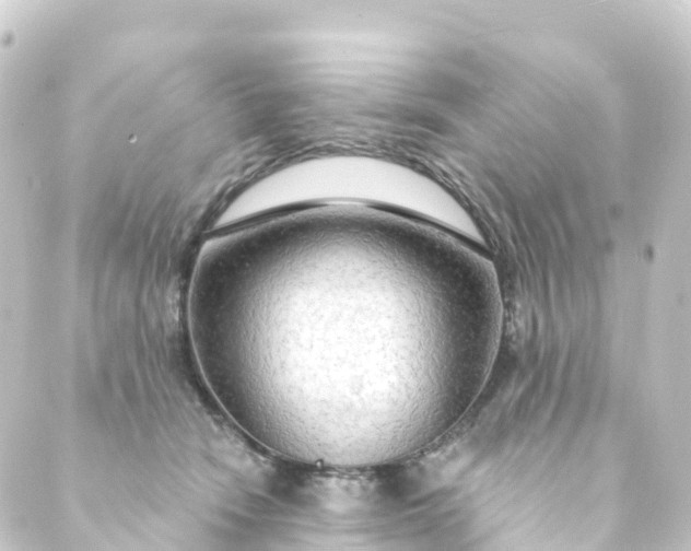 X0000088900466200706221909