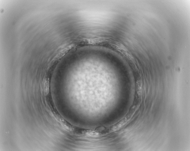 X0000088900471200706221909