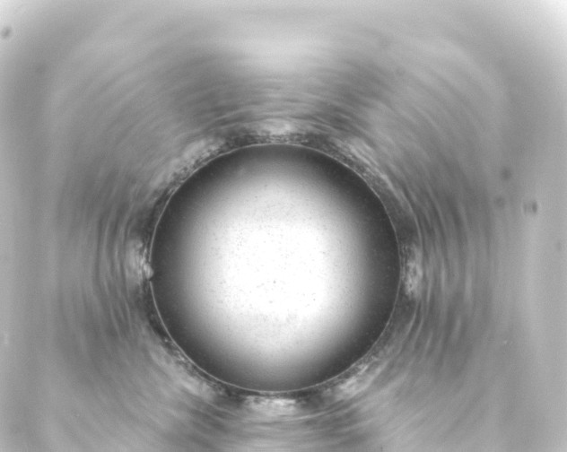 X0000088900476200706221909