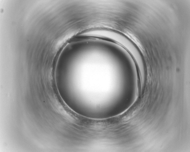 X0000088900485200706221908