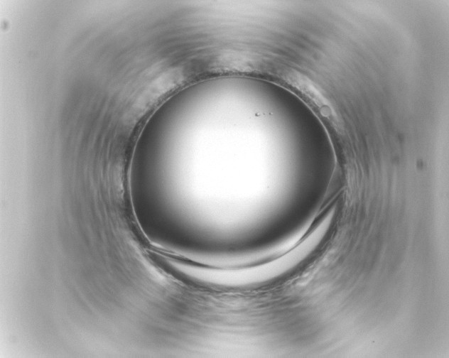 X0000088900489200706221908