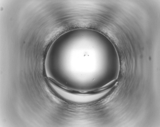 X0000088900493200706221908