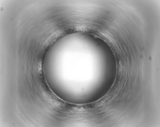 X0000088900502200706221908