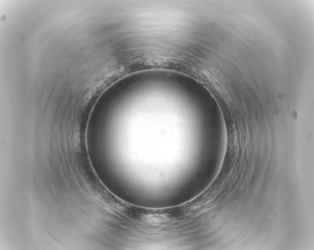 X0000088900508200706221908