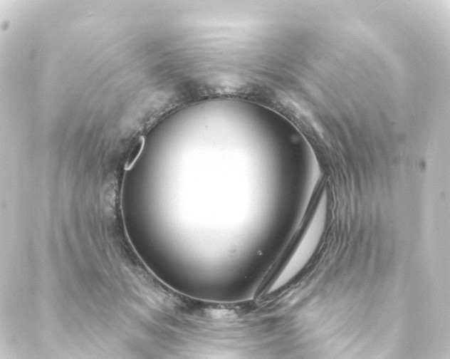 X0000088900509200706221908