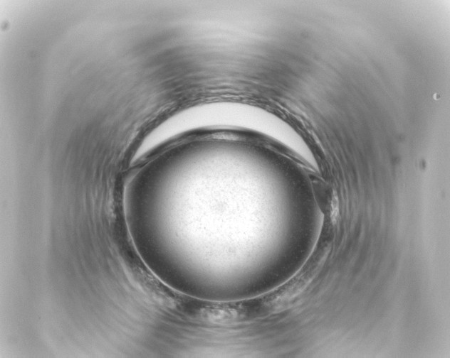 X0000088900512200706221908