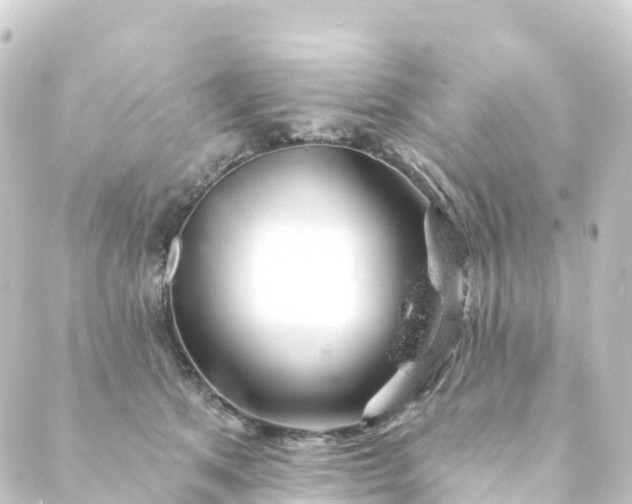 X0000088900513200706221908