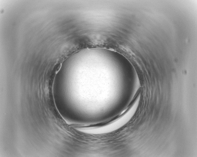 X0000088900516200706221908