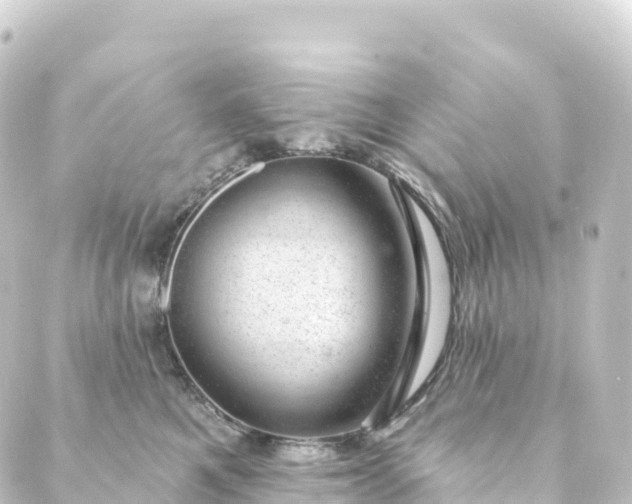 X0000088900521200706221908
