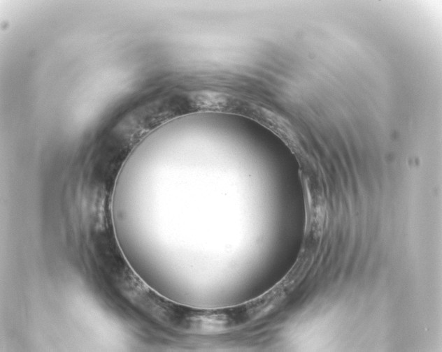 X0000088900525200706221908