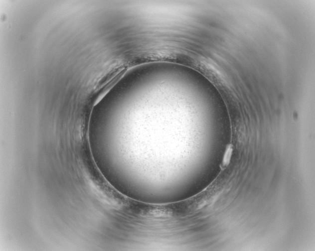 X0000088900546200706221907