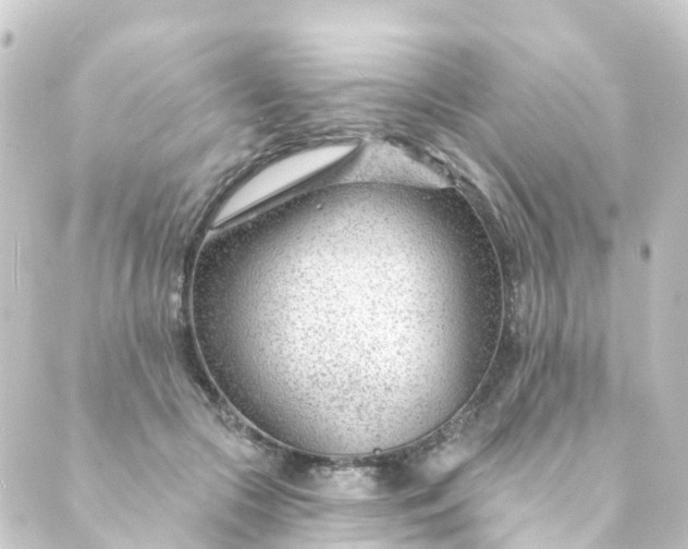 X0000088900553200706221907