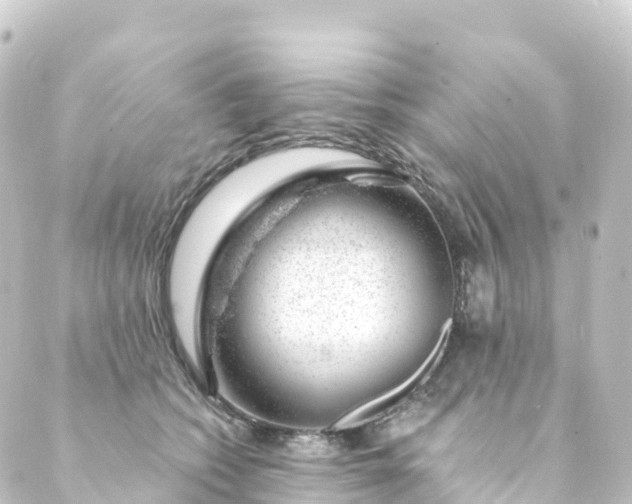 X0000088900562200706221907