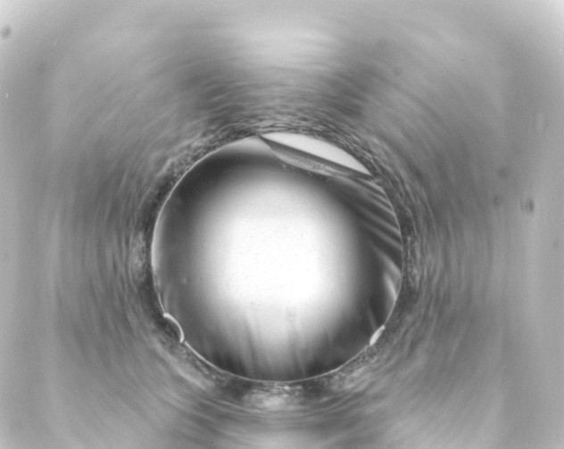 X0000088900563200706221907