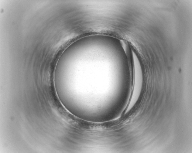 X0000088900587200706221907