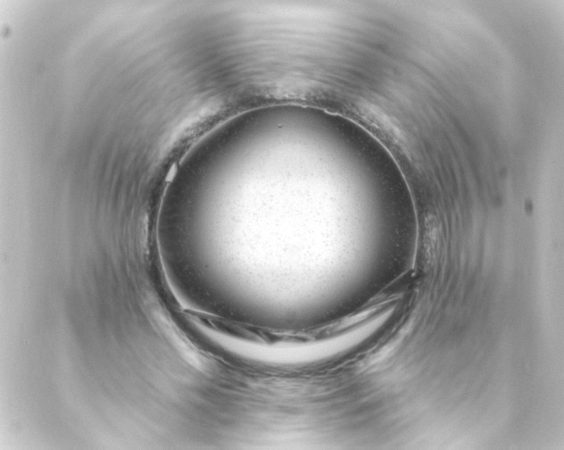 X0000088900589200706221907