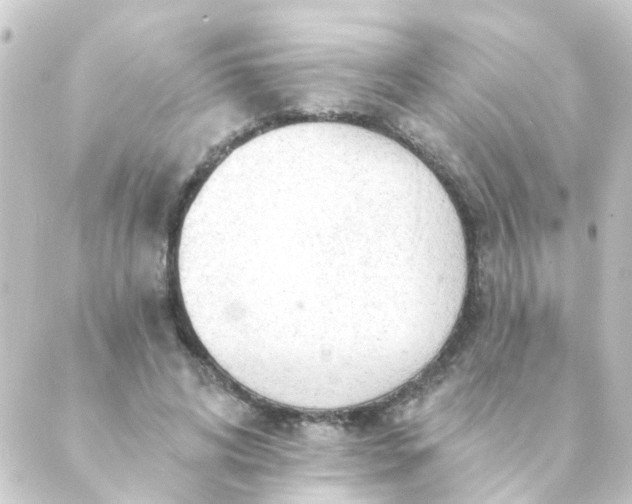 X0000088900592200706221907