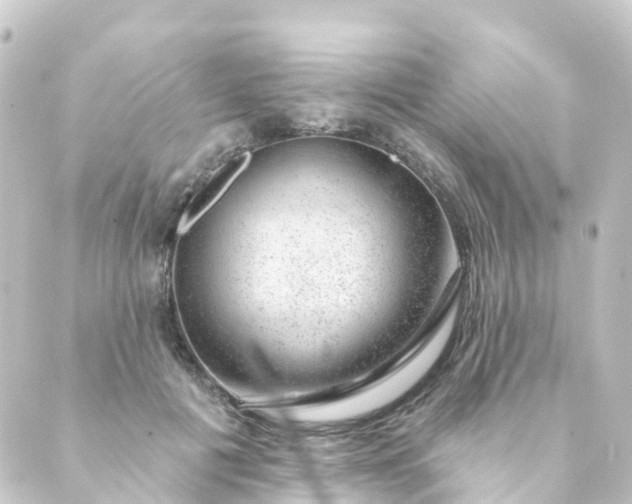 X0000088900601200706221906